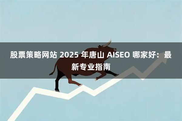 股票策略网站 2025 年唐山 AISEO 哪家好：最新专业指南